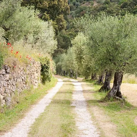 Villa Ugo Cortona